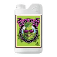 Advanced Nutrients Big Bud 1L