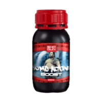 Shogun Sumo Active Boost 250ml
