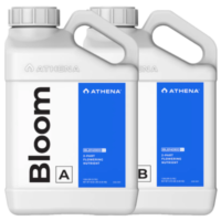 Athena Bloom A&B 1 Gallon