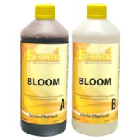 Ferro Edinburgh Bloom A&B 1L