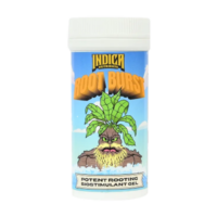 Indica Root Burst Gel 50ml
