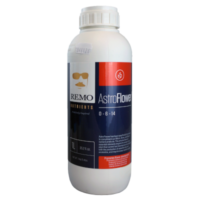 Remo AstroFlower 1L