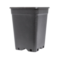 PotKing Square Pot 3.5L