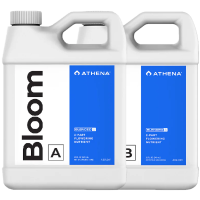 Athena Bloom A&B 1L